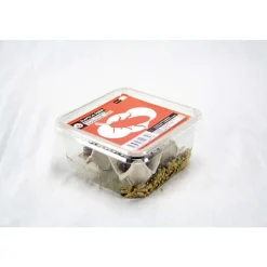 STOFFELS - Blattes pour alimentation reptiles, taille L, 10 pièces