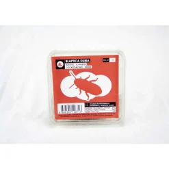 STOFFELS - Blattes pour alimentation reptiles, taille L, 10 pièces