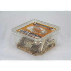 STOFFELS - Criquets adultes pour alimentation reptiles : 10 pièces