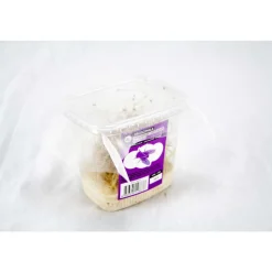 STOFFELS - Drosophiles pour alimentation reptiles