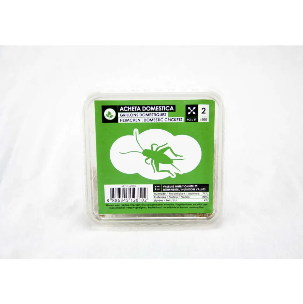 STOFFELS - Grillons alimentation reptiles, taille M, environ 120 pièces