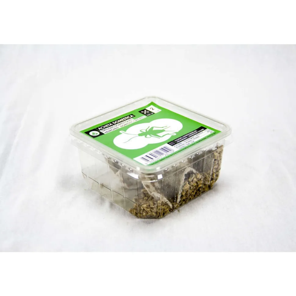 STOFFELS - Grillons alimentation reptiles, taille M, environ 120 pièces