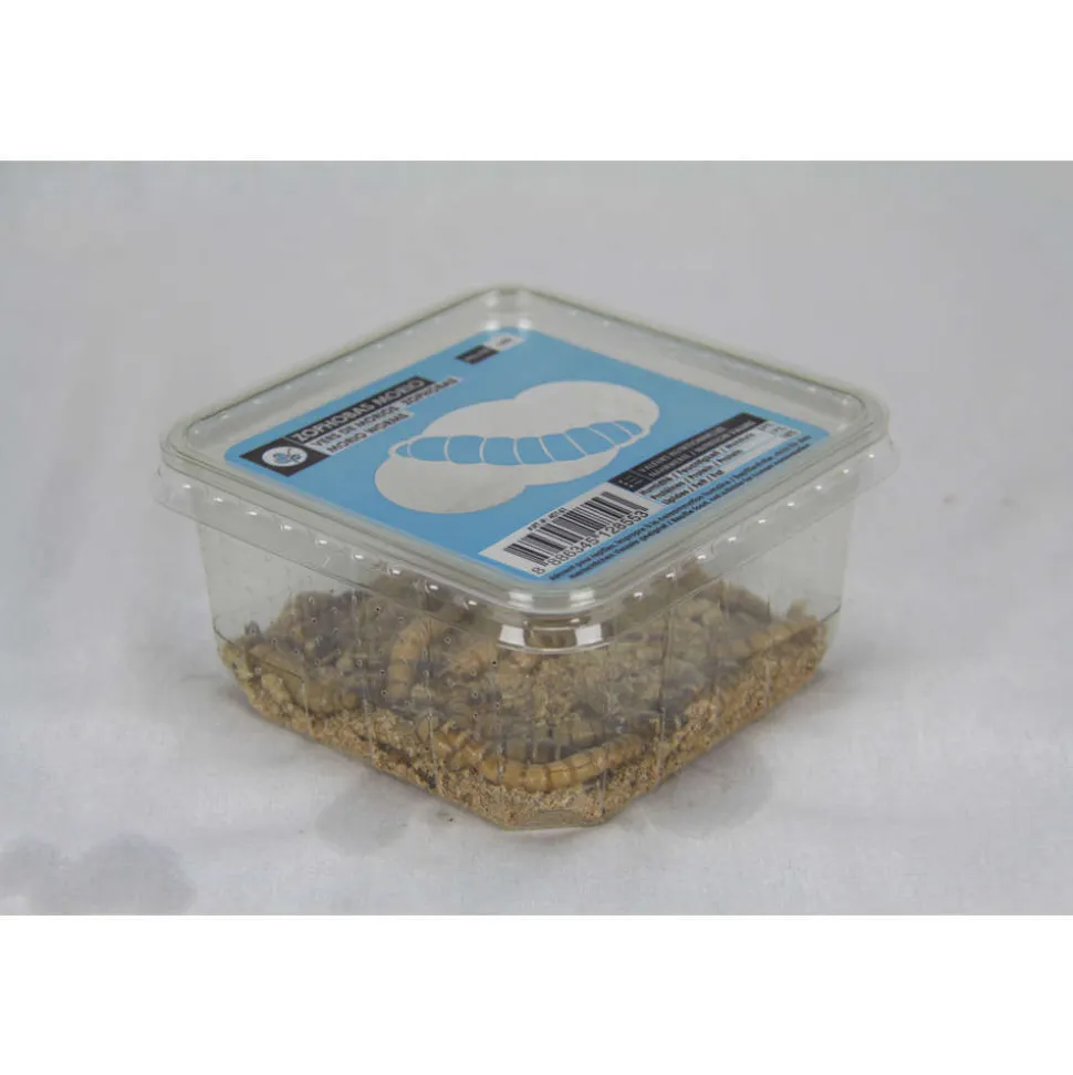 STOFFELS - Zophobas Morios pour alimentation reptiles, 50 gr