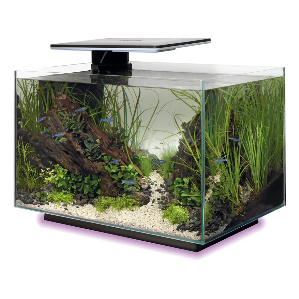 SUPERFISH - Aquarium Quadro 40, coloris noir - L.45xP.25xH.35,7cm