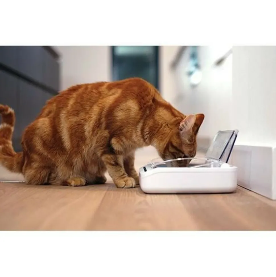 SUREFLAP - Surefeed distributeur de nourriture automatique pour chat anti-odeur - blanc (livré avec un bol simple)