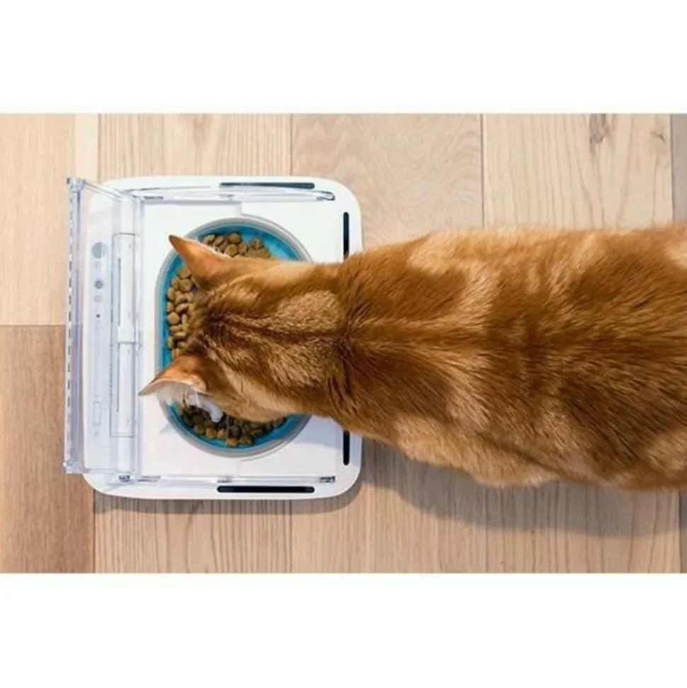 SUREFLAP - Surefeed distributeur de nourriture automatique pour chat anti-odeur - blanc (livré avec un bol simple)