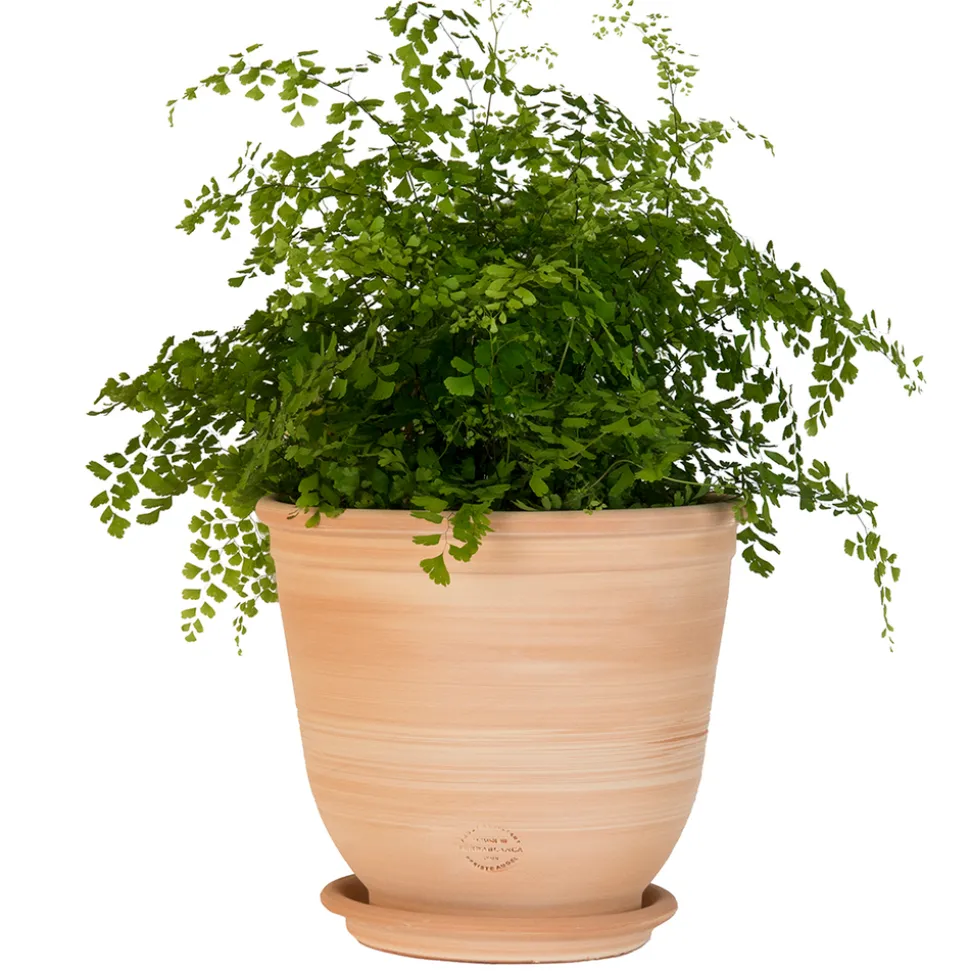 TERRABLANCA - Pot Campana en terre cuite claire Ø 40 x H. 35 cm