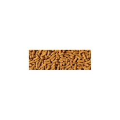 TETRA - Wheatgerm sticks 200g-1l aliments poisson saison froide tetra pond