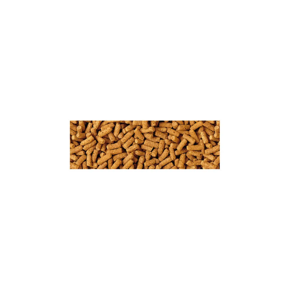 TETRA - Wheatgerm sticks 200g-1l aliments poisson saison froide tetra pond