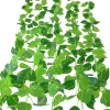 Tige de plante artificielle en plastique, pothos de 2 mètres de long