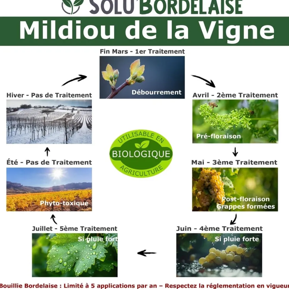 TOUT POUR LES NUISIBLES - Solu'bordelaise - 5 kg de bouillie bordelaise - mildiou de la vigne - utilisable agriculture biologique - 5 sachets 1kg