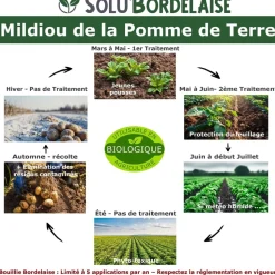 TOUT POUR LES NUISIBLES - Solu'bordelaise - 1 kg de bouillie bordelaise - mildiou de la pomme de terre- utilisable agriculture biologique