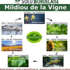 TOUT POUR LES NUISIBLES - Solu'bordelaise - 1 kg de bouillie bordelaise - mildiou de la vigne - utilisable agriculture biologique