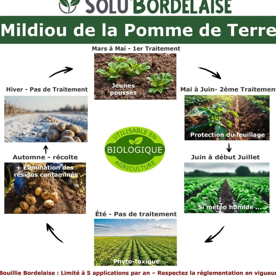 TOUT POUR LES NUISIBLES - Solu'bordelaise - 500 g de bouillie bordelaise - mildiou de la pomme de terre - utilisable agriculture biologique