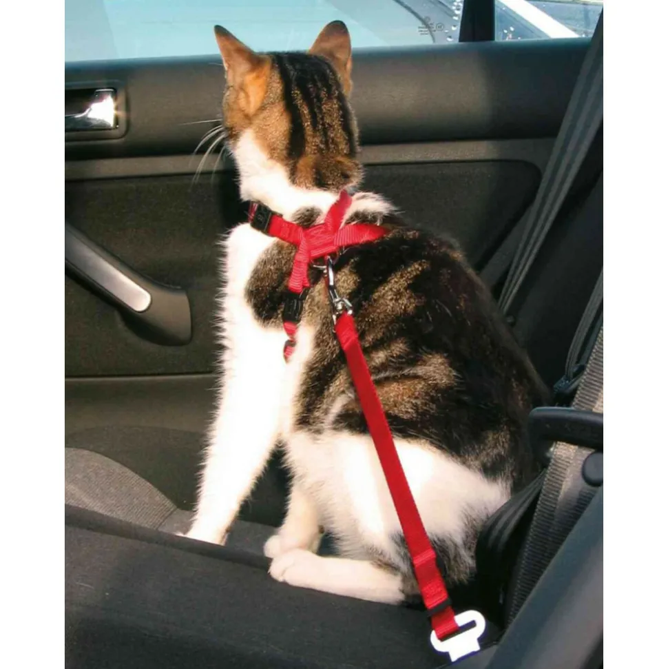 TRIXIE - Harnais pour chat spéciale pour voiture
