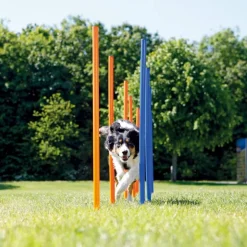 TRIXIE - Piquets de slalom pour parcours d'agilité 115 cm 12 pcs plastique