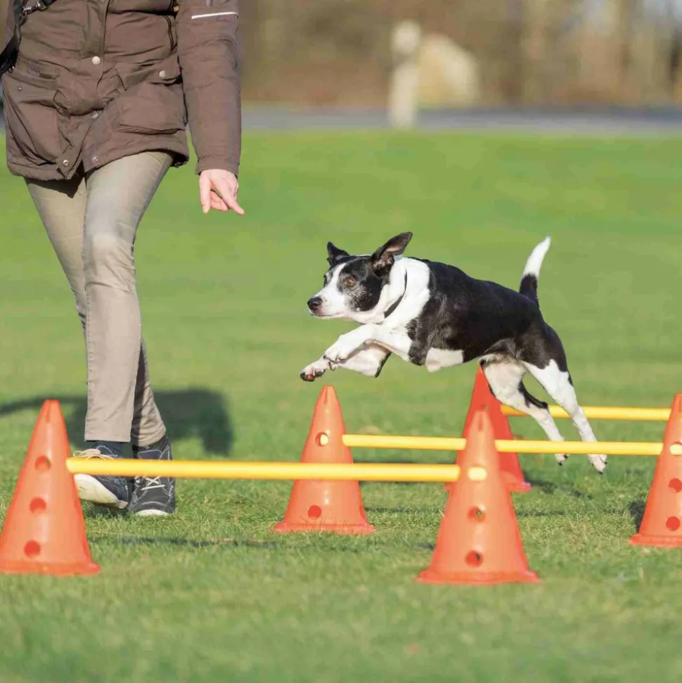 TRIXIE - Set d'obstacles 6 cônes 3 piquets • parcours agilité chiens