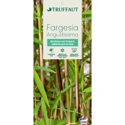 TRUFFAUT - Bambou non-traçant fargesia angustissima - pot de 5 L