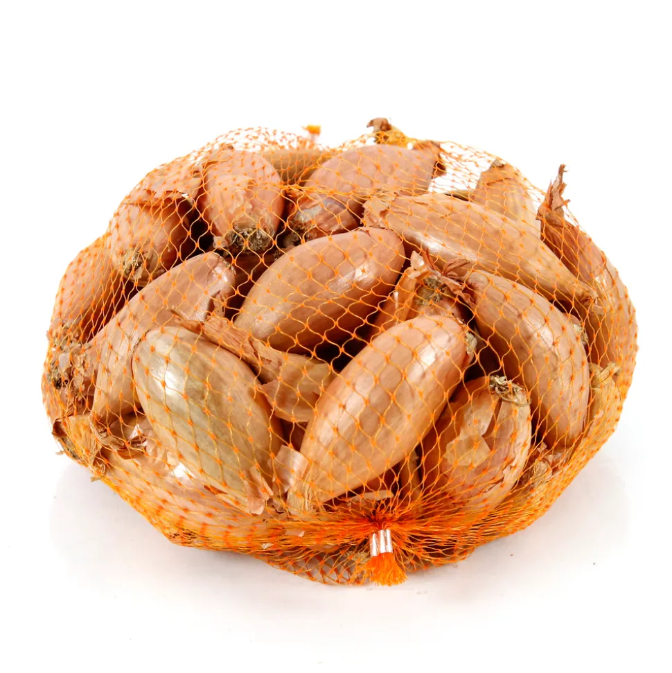 TRUFFAUT - Bulbes d'échalotes 'Longor' en filet - 500 g