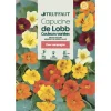 TRUFFAUT - Capucine Grimpante De Lobb Variée : en Sachet