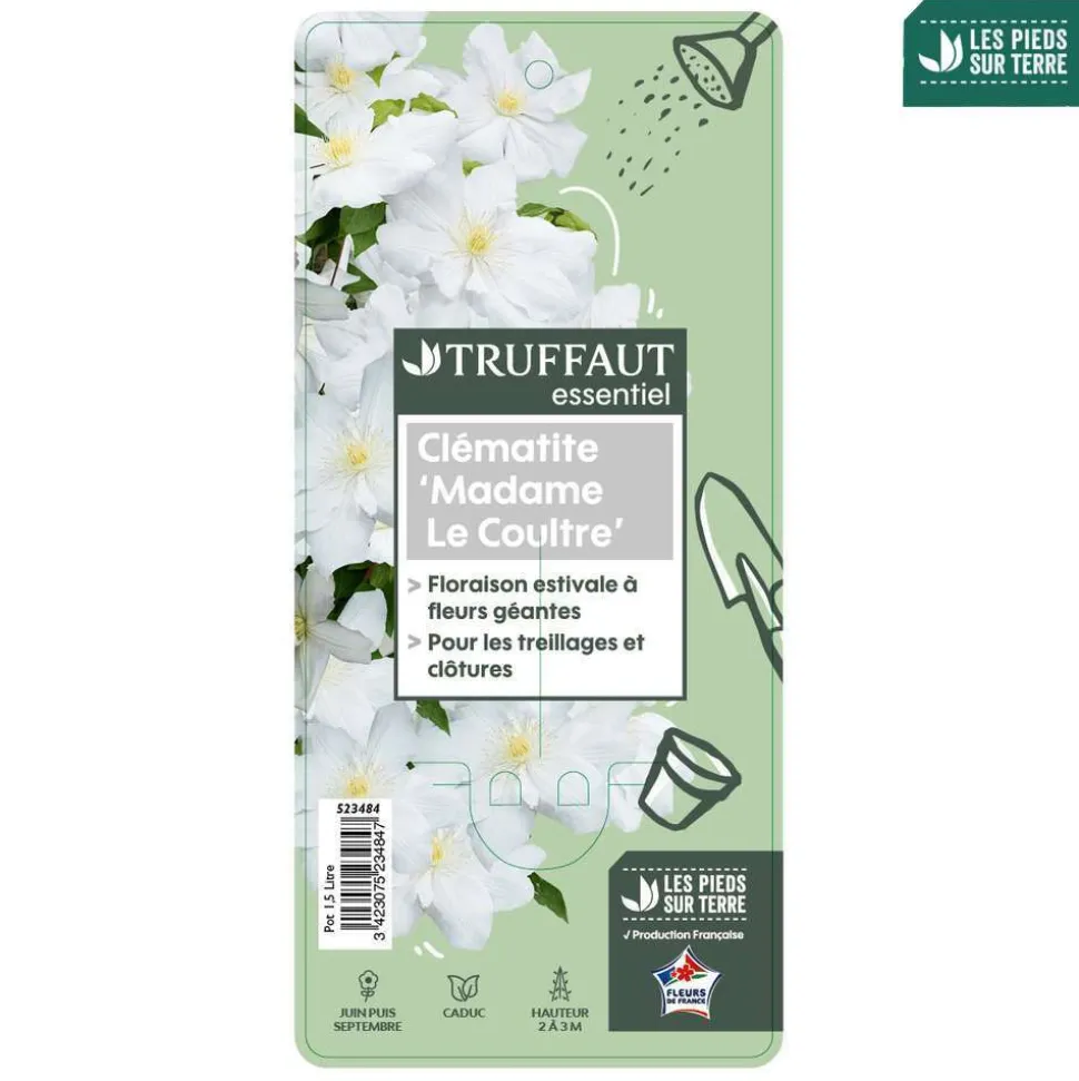 TRUFFAUT - Clematis Madame Lecoultre : ctr 1.5L