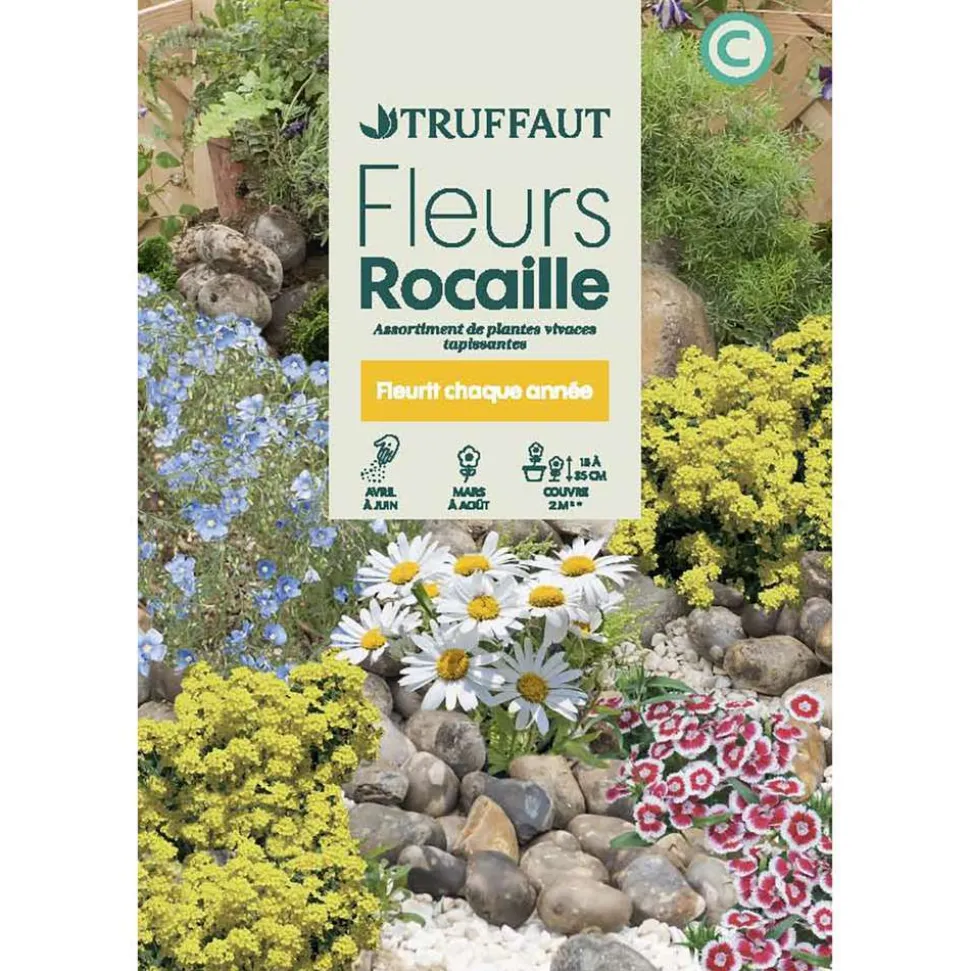 TRUFFAUT - Fleurs vivaces en mélange massifs et rocailles : grand sachet