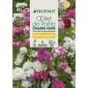 TRUFFAUT - Œillet de poete Passionata double couleur variée : en sachet