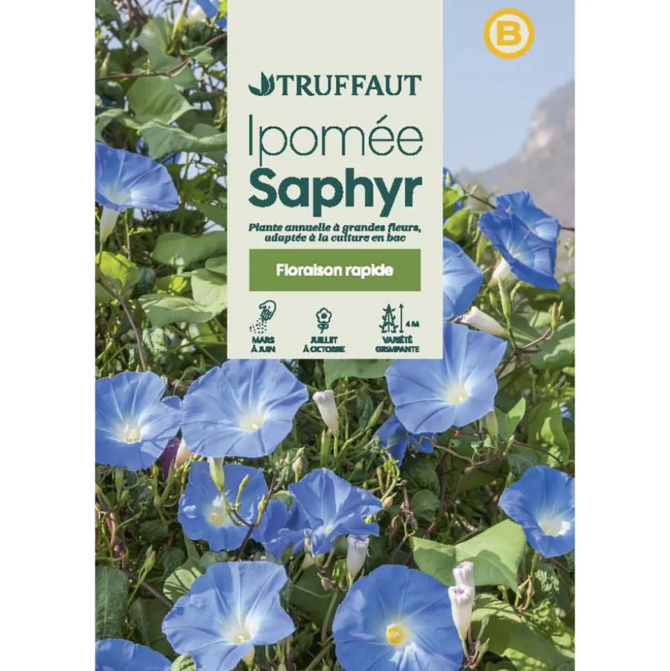 TRUFFAUT - Ipomée à grande fleurs Saphir