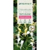 TRUFFAUT - Lonicera 'Dart's Acumen': pot 3L