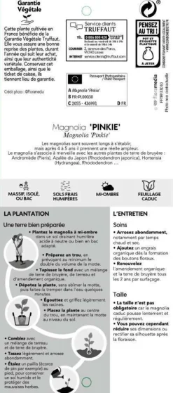 TRUFFAUT - Magnolia x Pinkie : conteneur rond carré de 5 L