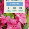 TRUFFAUT - Nerium Oleander Commandant Barthelemy pot 5L