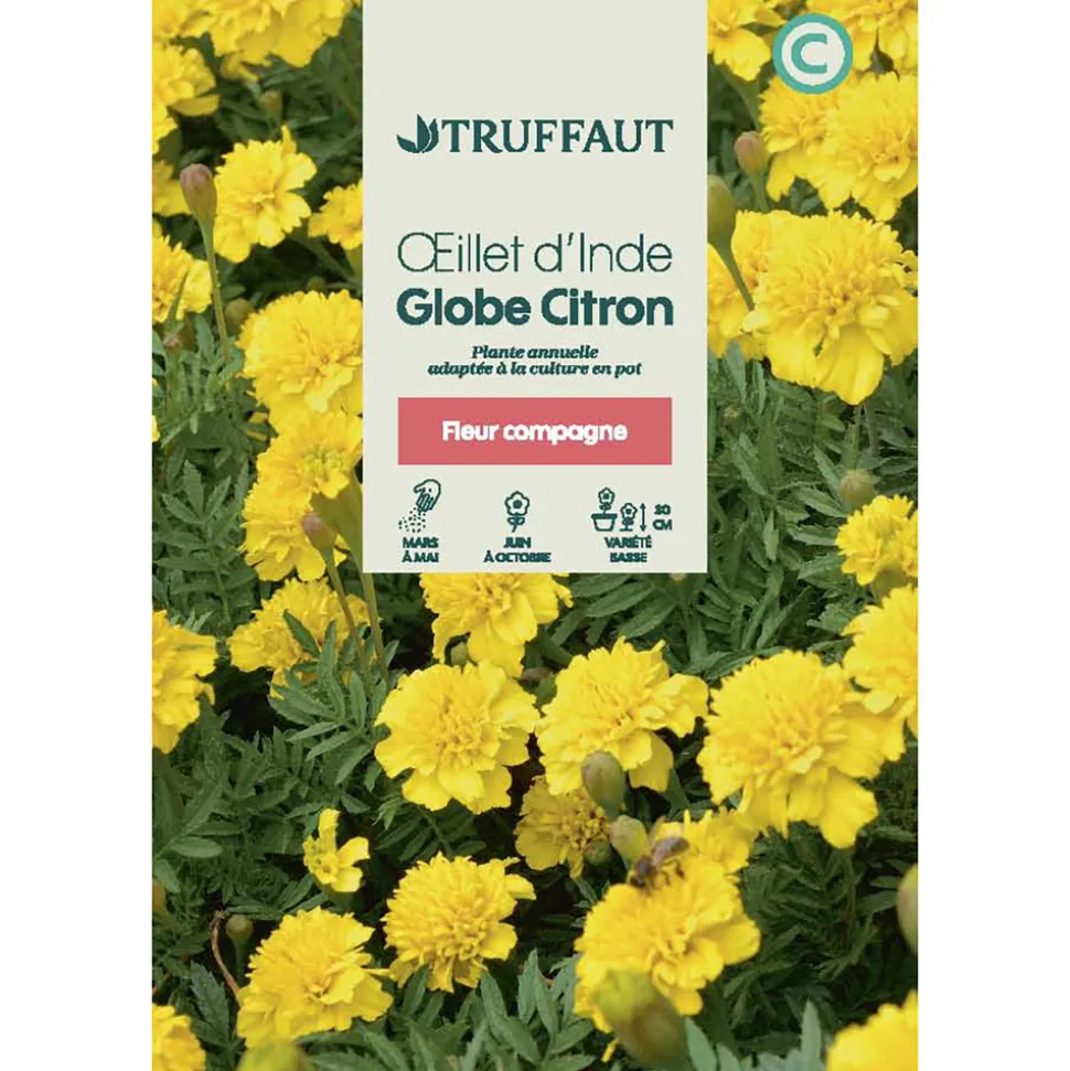 TRUFFAUT - Oeillet D inde À Fleur jaune : En sachet