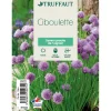TRUFFAUT - Plant de ciboulette : pot de 1 litre