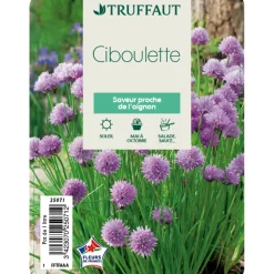 TRUFFAUT - Plant de ciboulette : pot de 1 litre