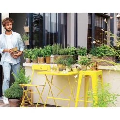 TRUFFAUT - Plant de persil plat : pot de 1 litre