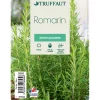TRUFFAUT - Plant de romarin : pot de 1 litre