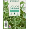 TRUFFAUT - Plant de sauge officinale : pot de 1 litre