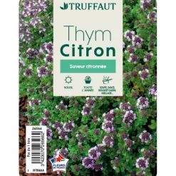 TRUFFAUT - Plant de thym citron : pot de 1 litre