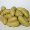 TRUFFAUT - Plants de pommes de terre 'Celtiane' en filet x25