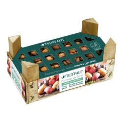 TRUFFAUT - Plants de pommes de terre 'Ratte' en clayette x25