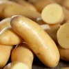 TRUFFAUT - Plants de pommes de terre 'Ratte' en filet x10