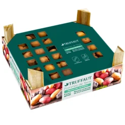 TRUFFAUT - Plants de pommes de terre 'Rosabelle' en clayette x60