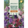 TRUFFAUT - Pois de senteur géant Spencer couleur variée : en sachet