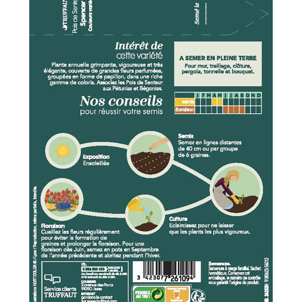 TRUFFAUT - Pois de senteur géant Spencer couleur variée : en sachet