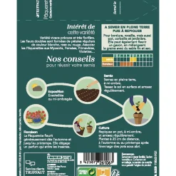 TRUFFAUT - Pâquerette des prés Tapis couleurs Variées