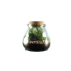 TRUFFAUT - Terrarium 'Bila Uso' M : D.15cm - H.15cm