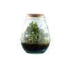TRUFFAUT - Terrarium 'Darasa' M mix : D.19cm - H.23cm