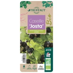 TRUFFAUT AB - Caseille 'Josta' bio : pot de 1,5 litres