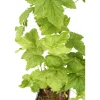 TRUFFAUT AB - Cassis 'Black Marble'® : AB pot 1.5L
