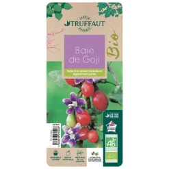 TRUFFAUT AB - Goji bio : pot de 1,5 litres